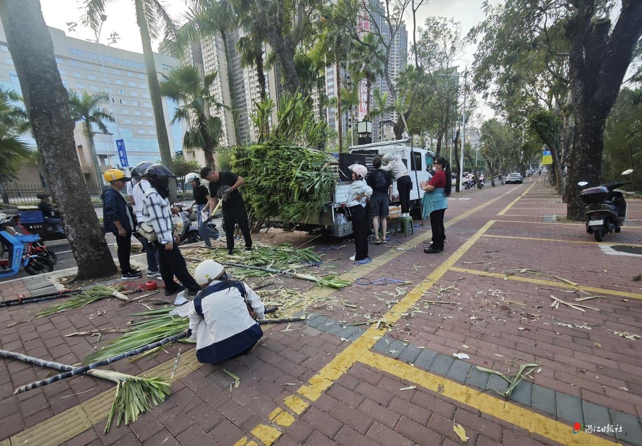 湛江：有人占道卖甘蔗   造成拥堵影响卫生


近日，记者在市区人民大道北南国热