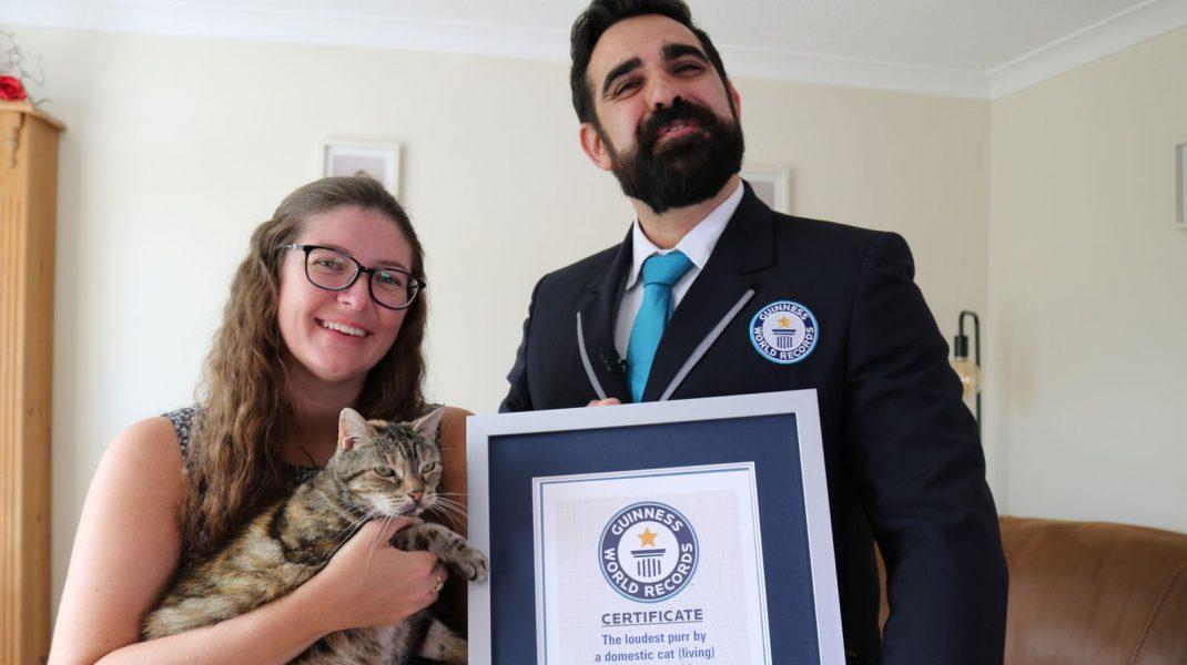 猫记录最嘈杂的咕噜声。英国猫科动物打破吉恩斯世界纪录
作者：埃琳娜·拉杜

贝拉
