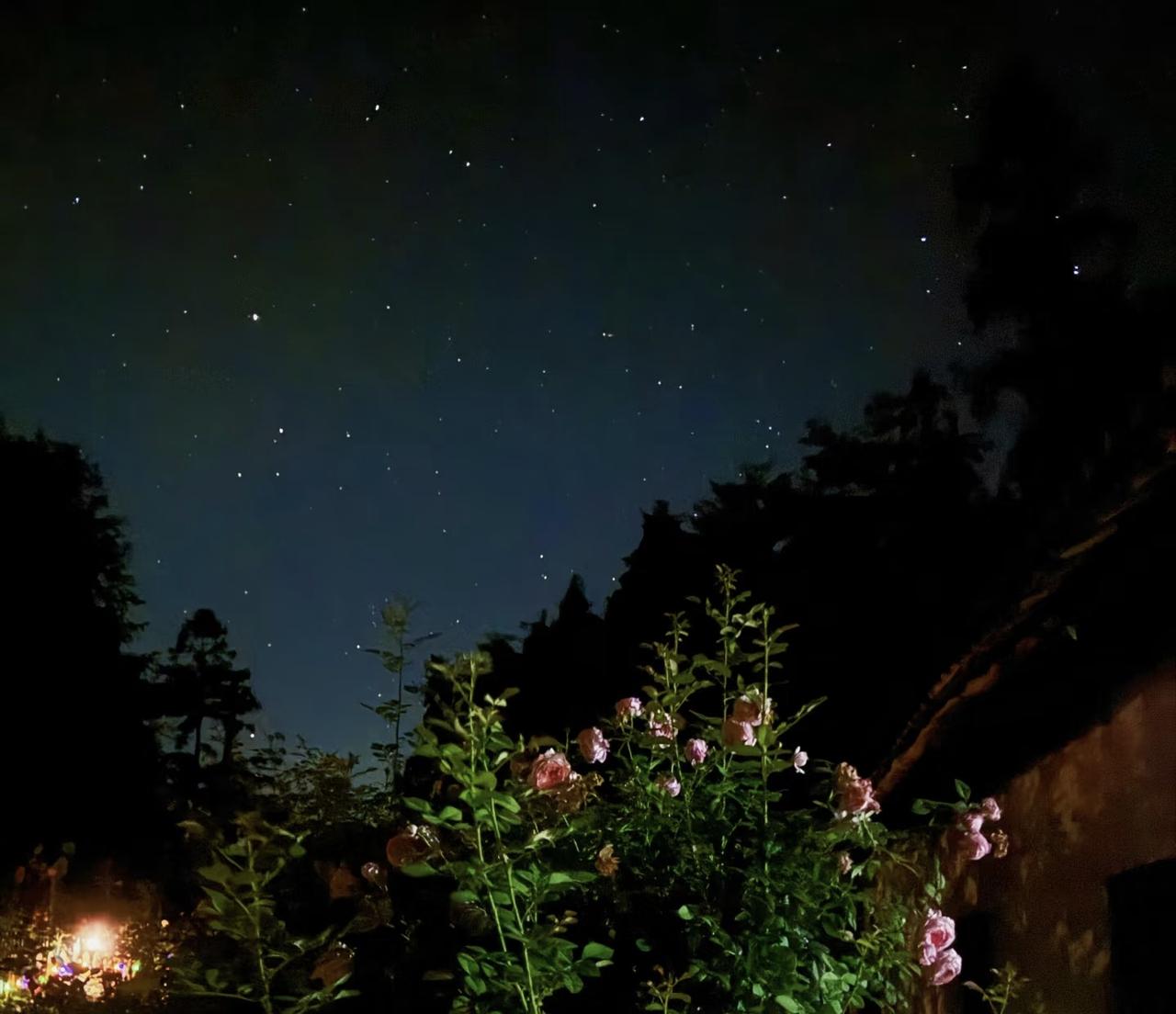 《夜星》
暑气蒸云梦，蝉声透绿钱。
风来如旧识，夜静未成眠。
枕上潮来去，窗间影