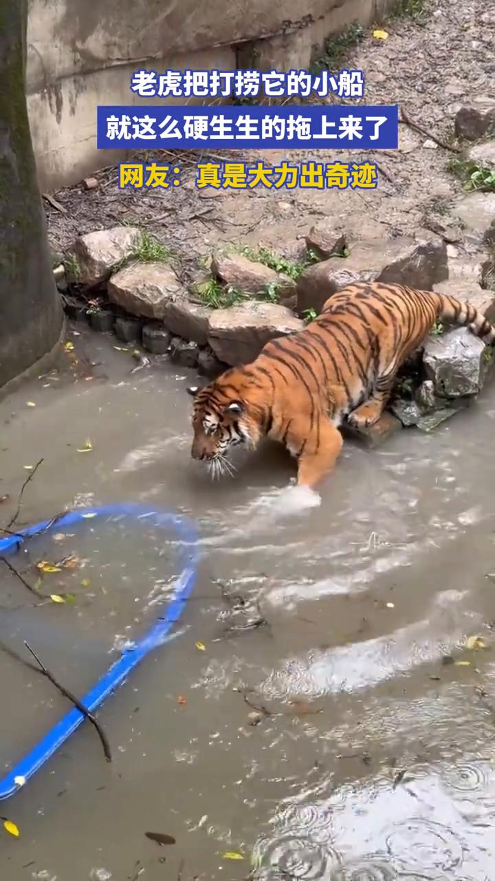 哈喽，设置中。