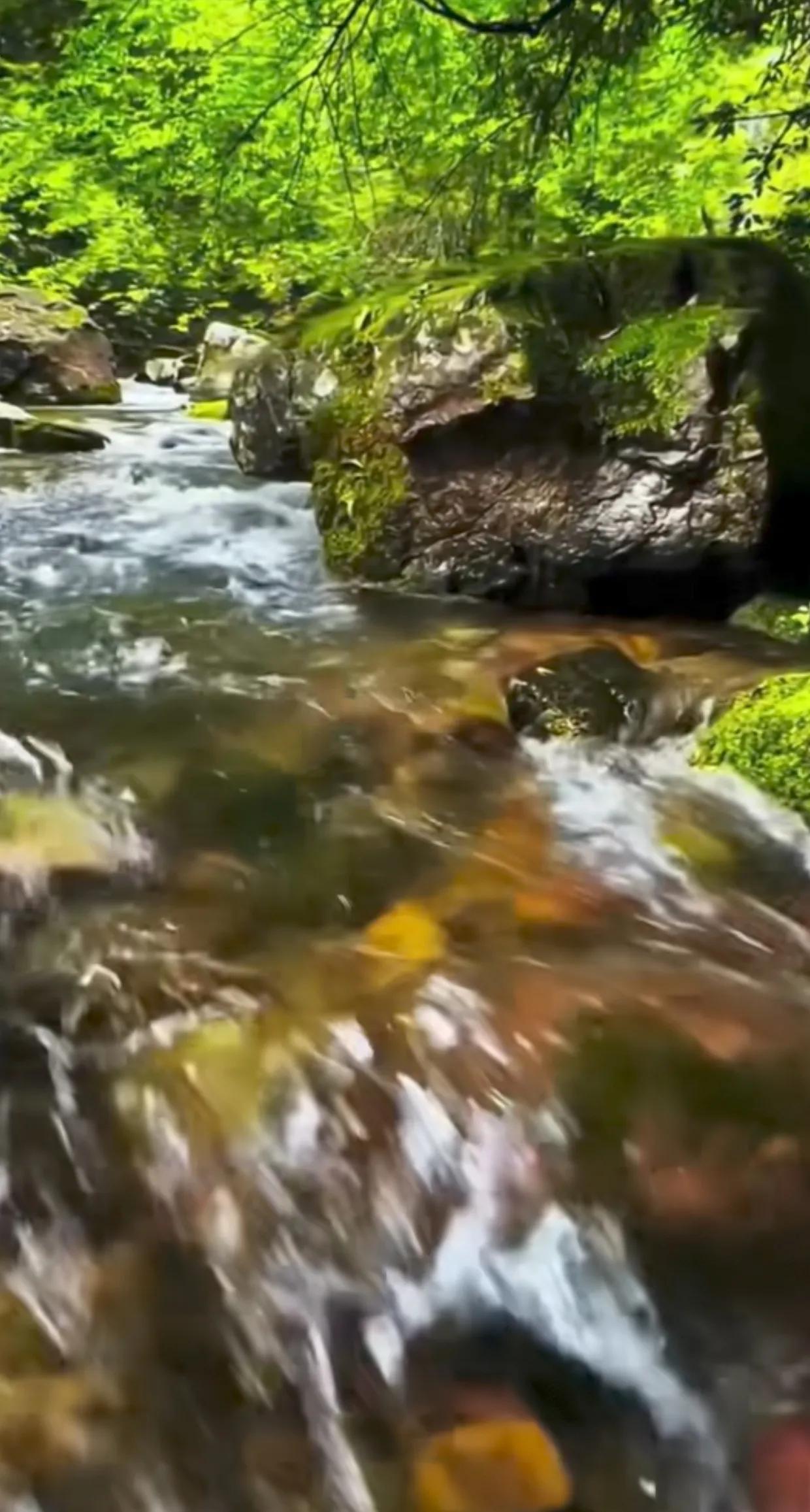 心中的绿水青山，如诗如画，是心灵的归宿。春夏秋冬，山川河流，都是寻找自我的旅程。