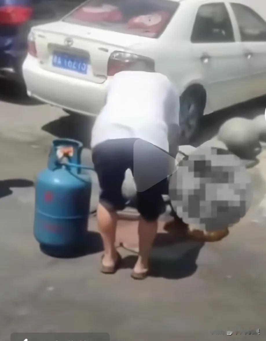 人心坏坏到什么成度，湖南长沙当街杀狗，他不是一搬的杀狗，而是用直接喷火抢烧，他们
