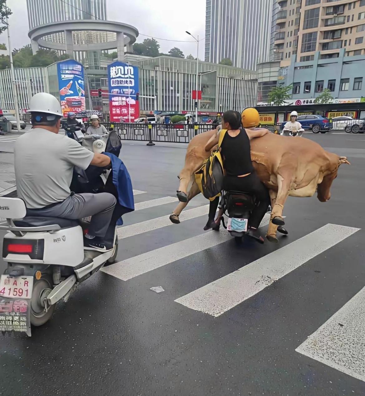 一个敢载，一个敢坐[泣不成声][泣不成声][泣不成声]