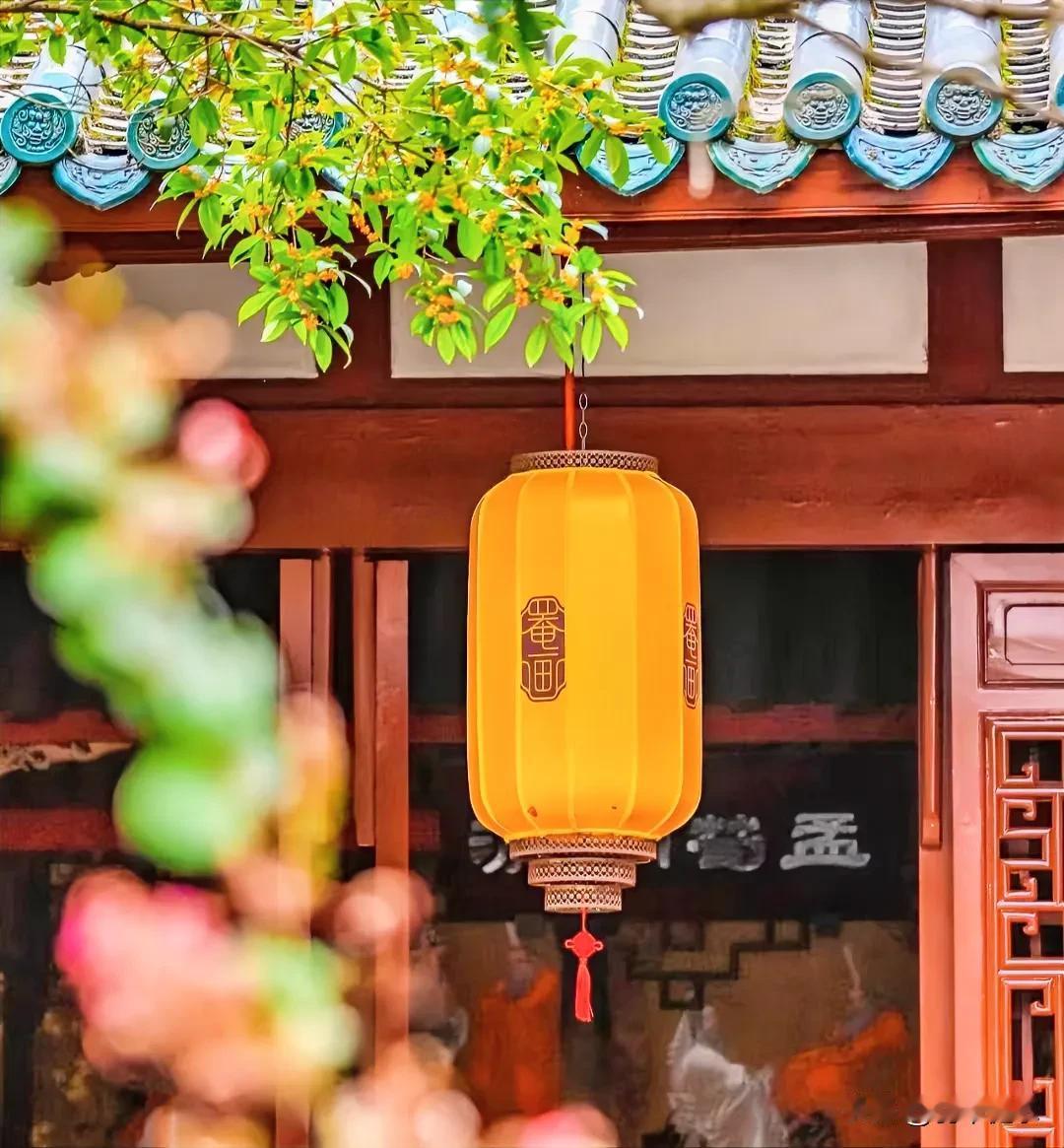 冬日的桂花如诗如画，在寒风中散发出醉人的香气，给寂静的季节增添了一份美丽和生机。