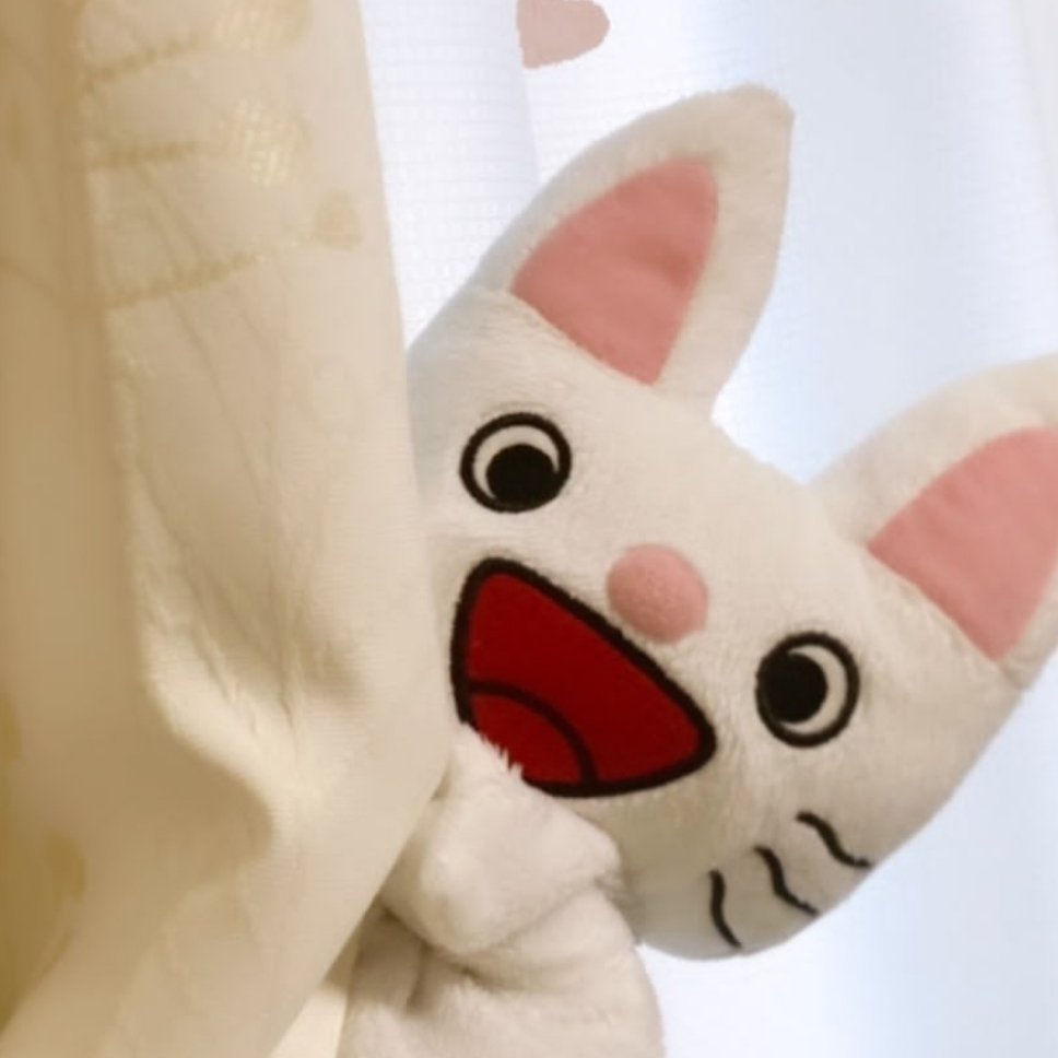 Nontan猫猫 .ᐟ.ᐟ ​​​