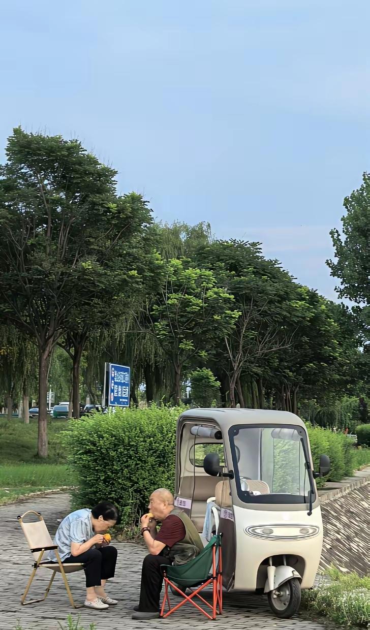 醒悟了，不去旅游了，太烧钱了，买个电三轮和老伴附近游，充一次电能往返的地方都走走