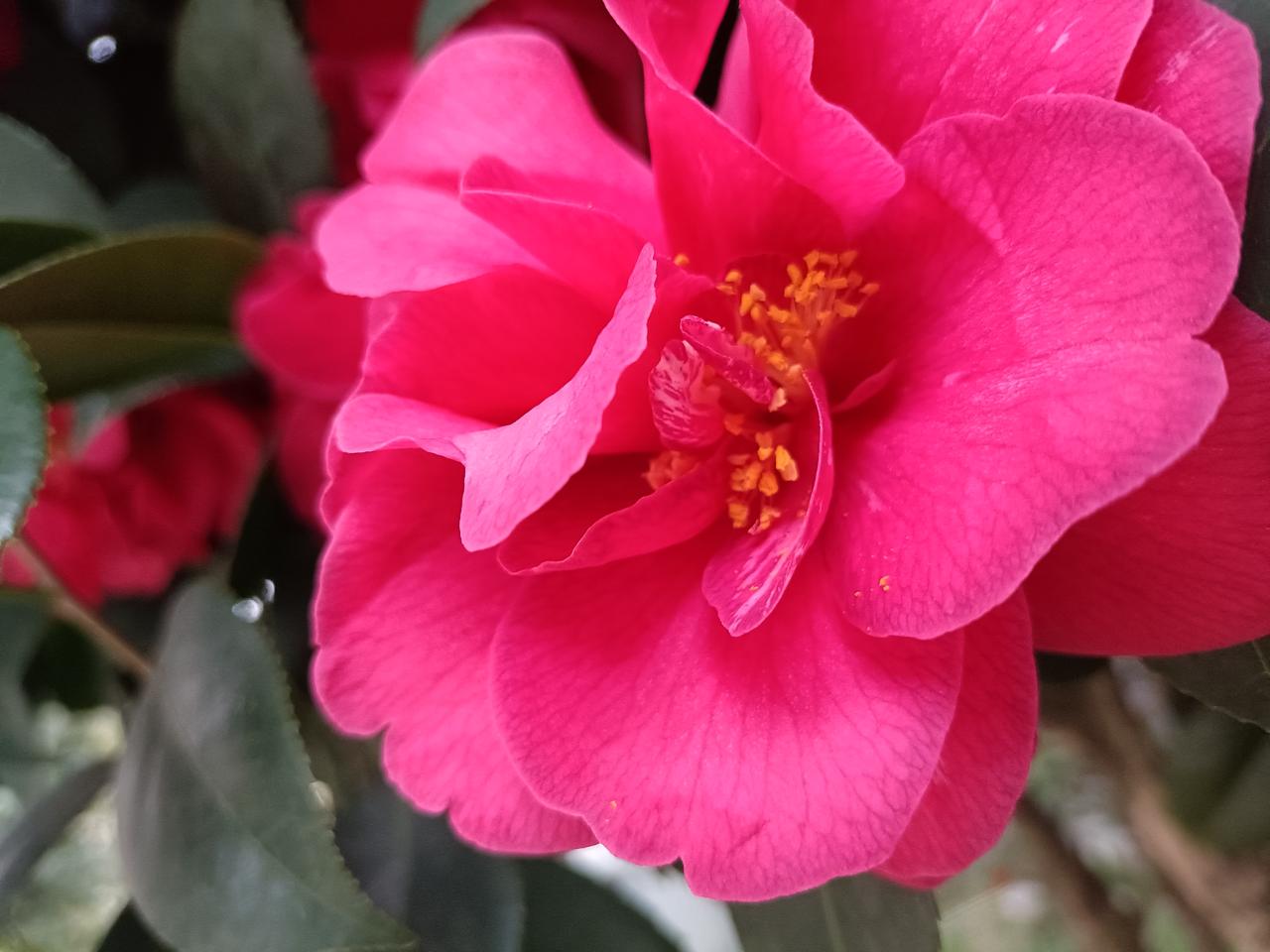 晒出你的本地生活东阳一座美丽的横店影视城，而闻名世界，特别重建园明园而园明新园，