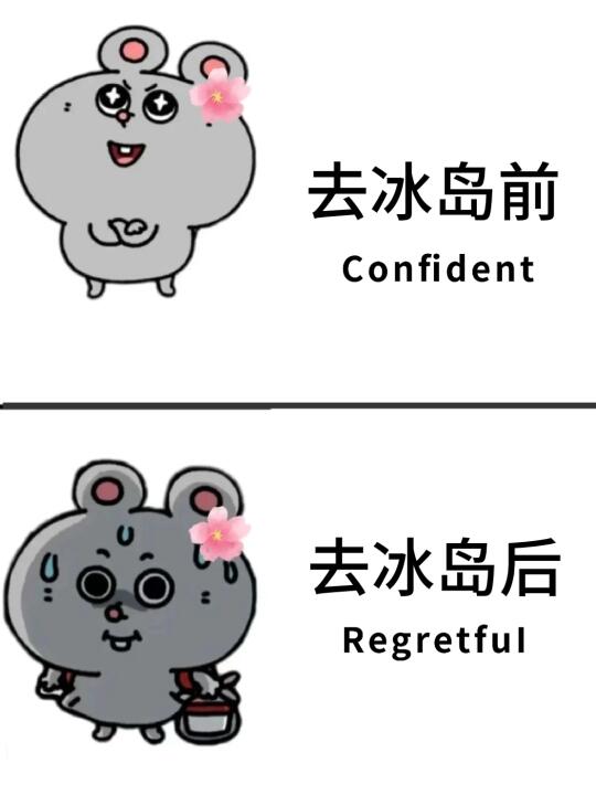 愿每一个去冰岛的人都能刷到这篇❤