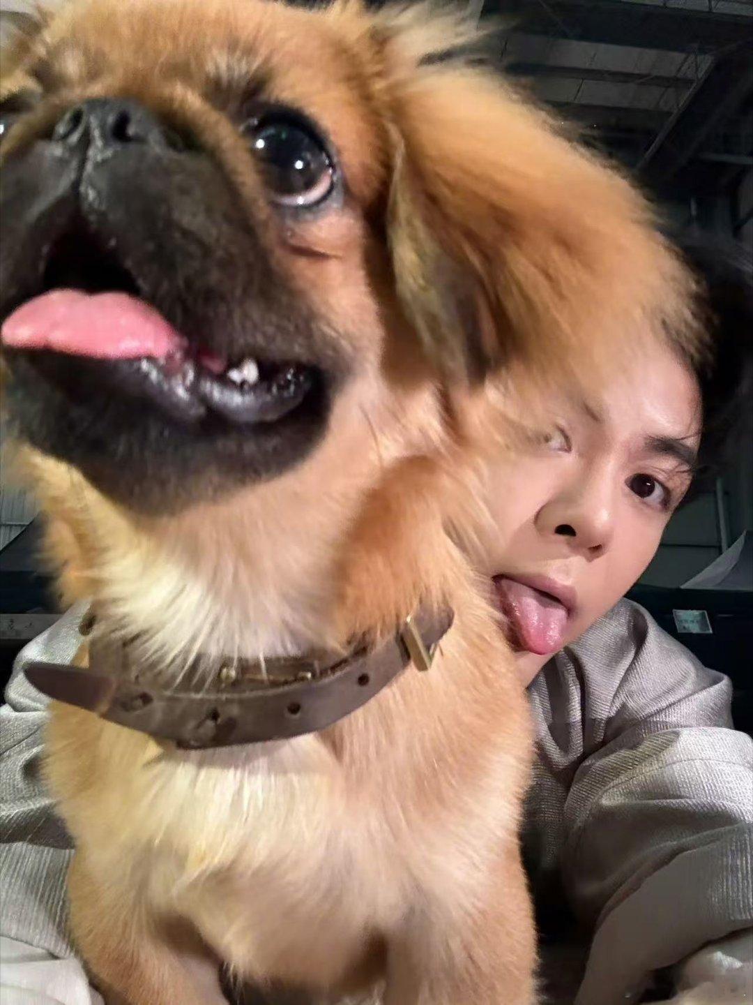 曾舜晞dogday曾舜晞撸狗日曾舜晞撸狗日，好幸福，好耶 ​​​