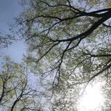 幻涵爱玩影视剧