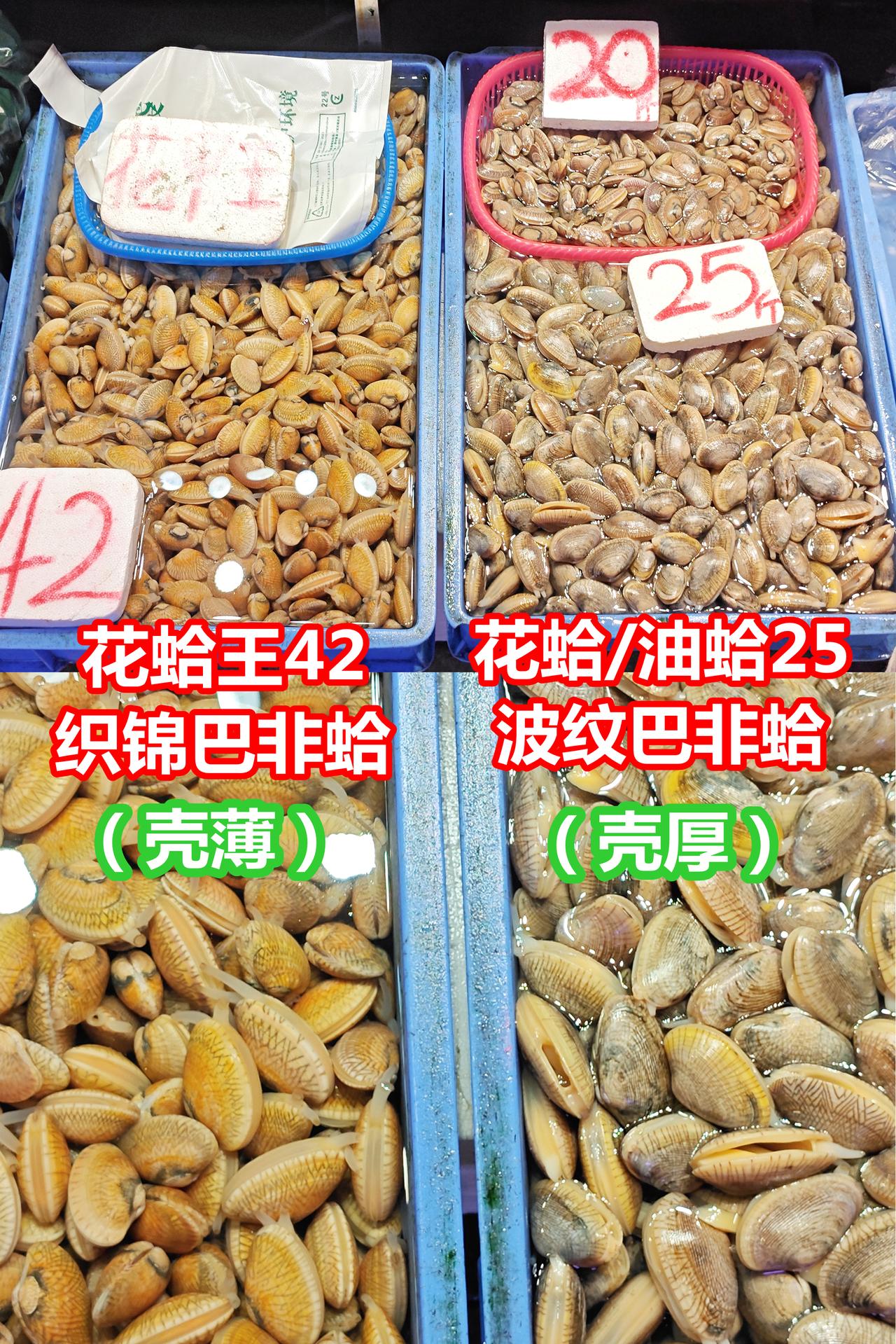 同规格，花蛤王壳薄出肉率高，所以比油蛤贵。
市场博物 海鲜