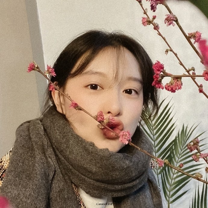 金智媛 🪞 
