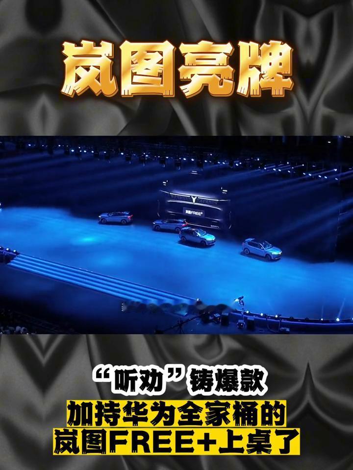 岚图亮牌，