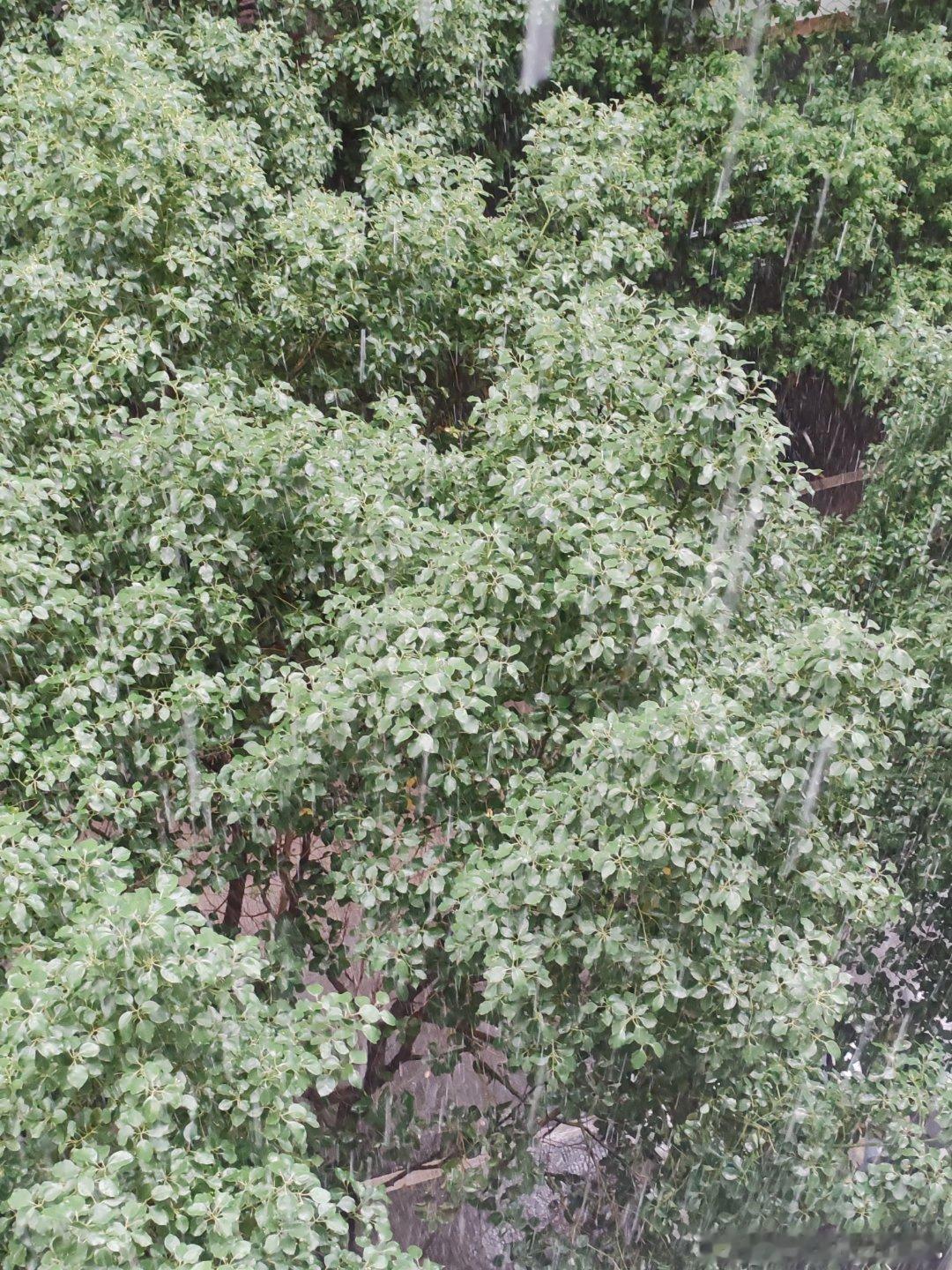 这雨说下就下，娃回来都淋湿一身。 