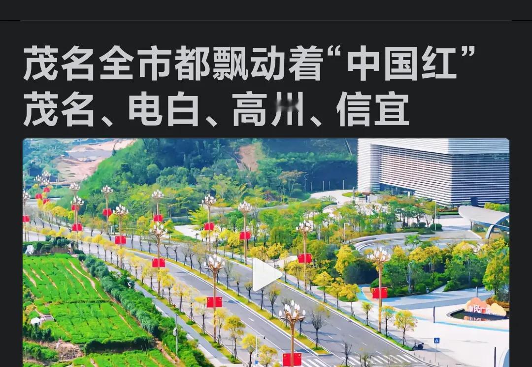 红旗飘飘迎国庆，在拥党爱国的精神层面上，大茂名做得非常好[赞]#广东茂名上热门#