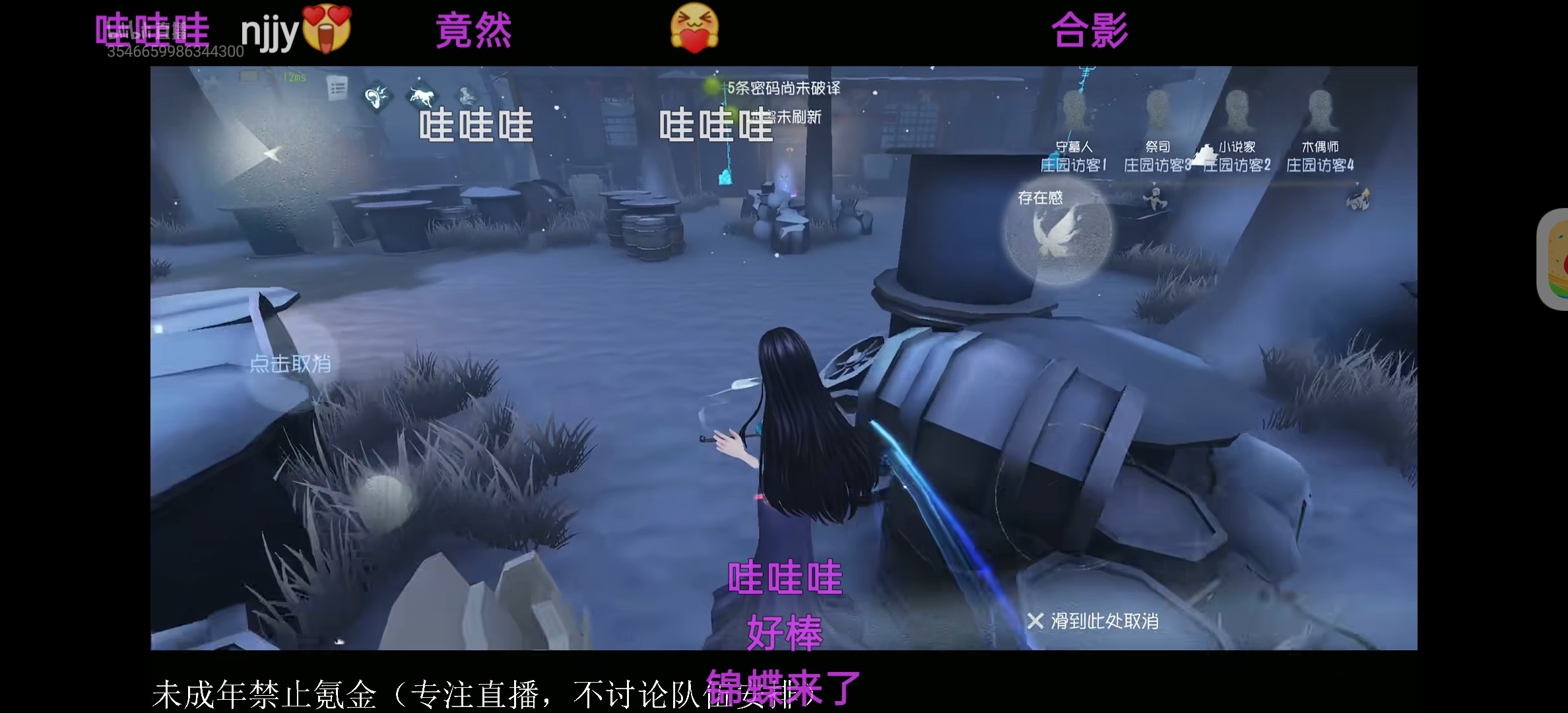锦蝶  专栏 · 小柴