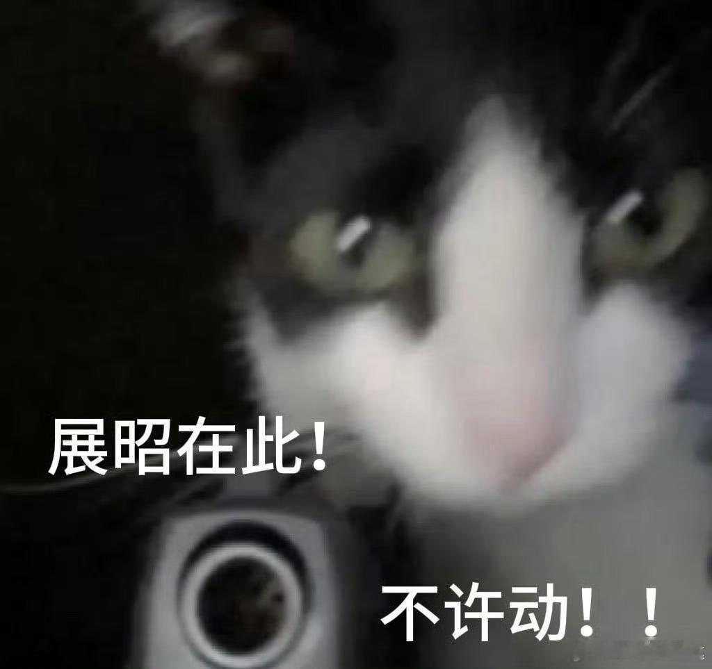 展昭剑指江湖凡人立挽狂澜为了迎接5月13日展昭降临，我现在要怒刷一遍《凡人修仙传