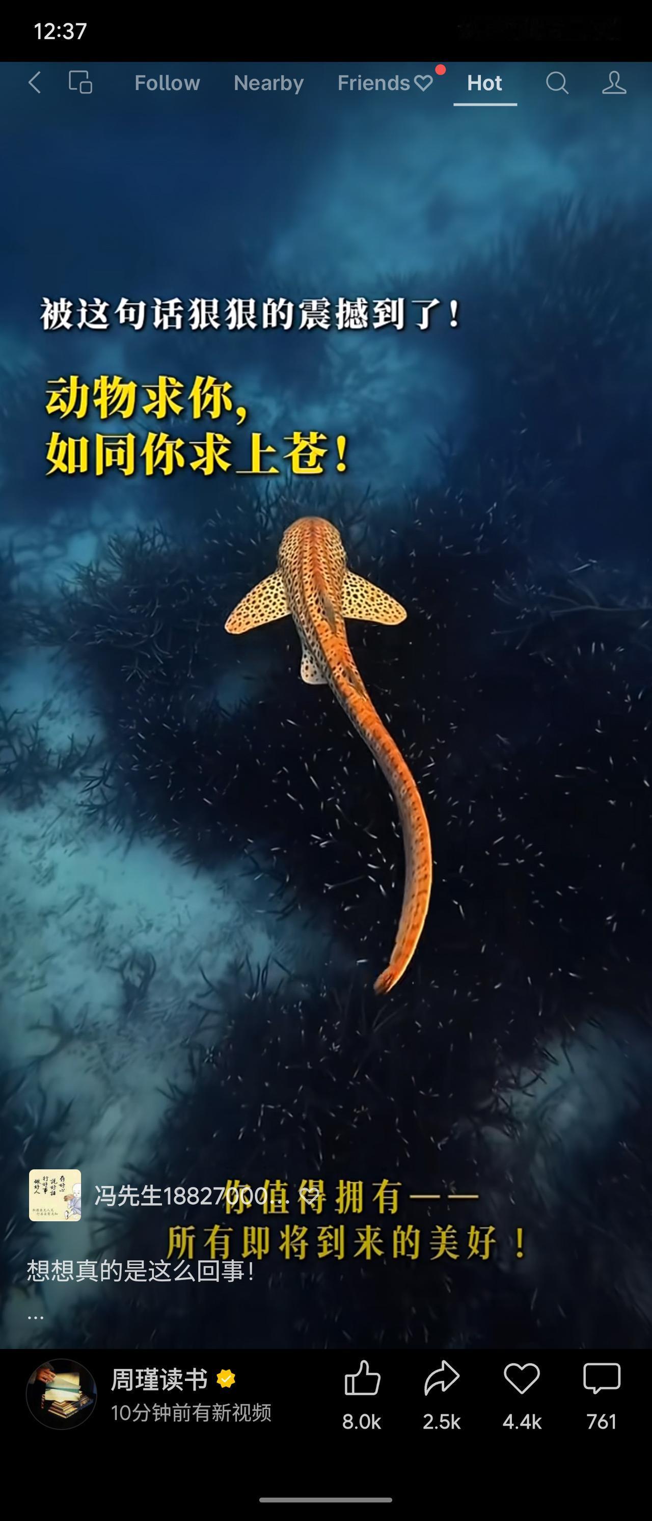 这句话道出了生命与命运间的微妙共情：动物仰赖人类，正如人类仰赖上苍。当我们祈求庇