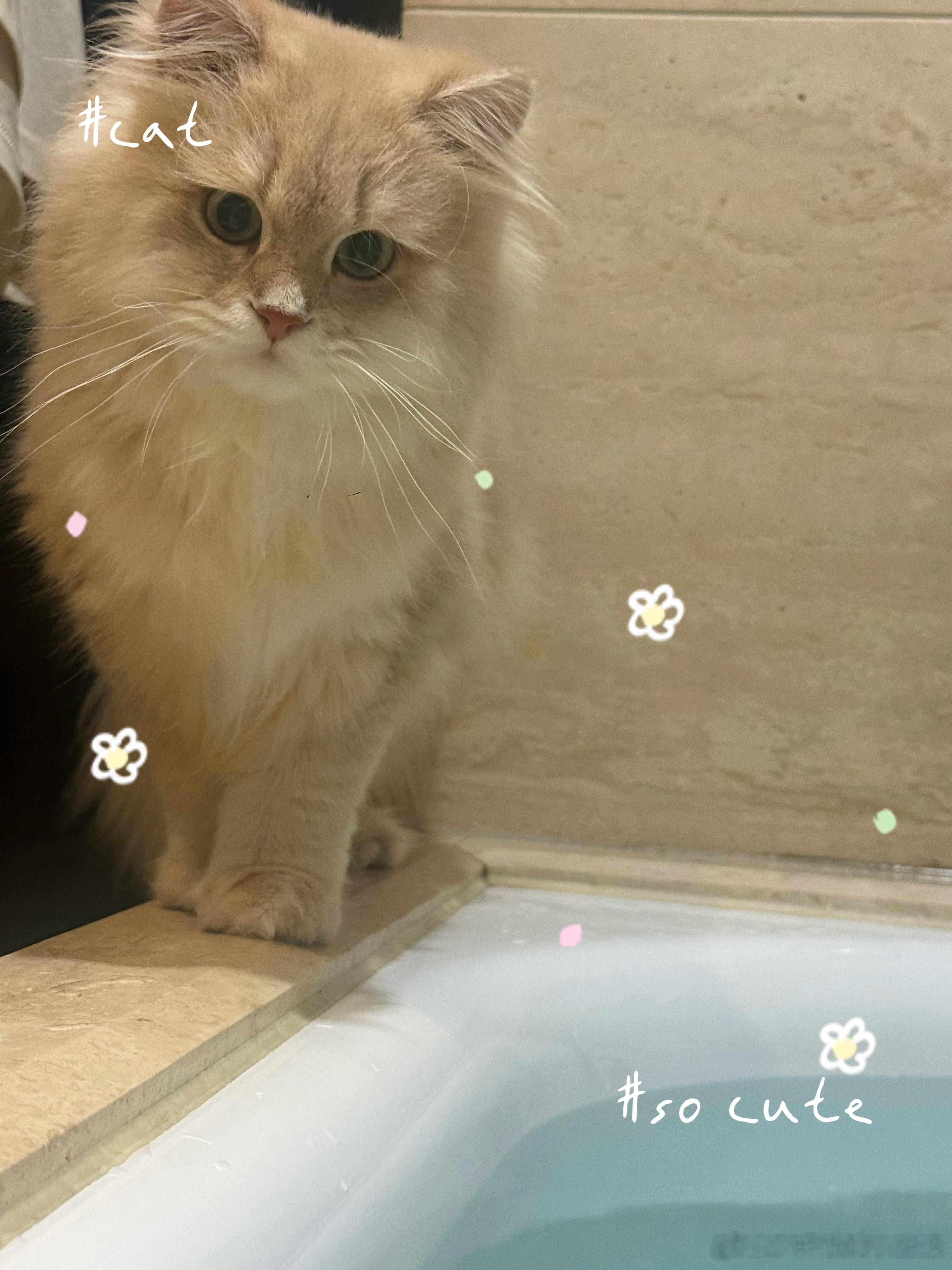 🛀💕🐈是坦诚相见的关系我在水里，他在水边。 