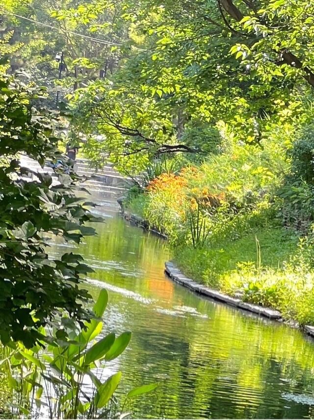 1000晨曦洒向山川，蝴蝶破茧于繁花间，海浪轻抚金沙，雄鹰掠过苍穹，万物生长不息