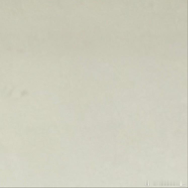 每日一善[超话]🍊阳光信用 [哆啦A梦微笑]每日一善 🪵  拟南芥喜凉爽湿润