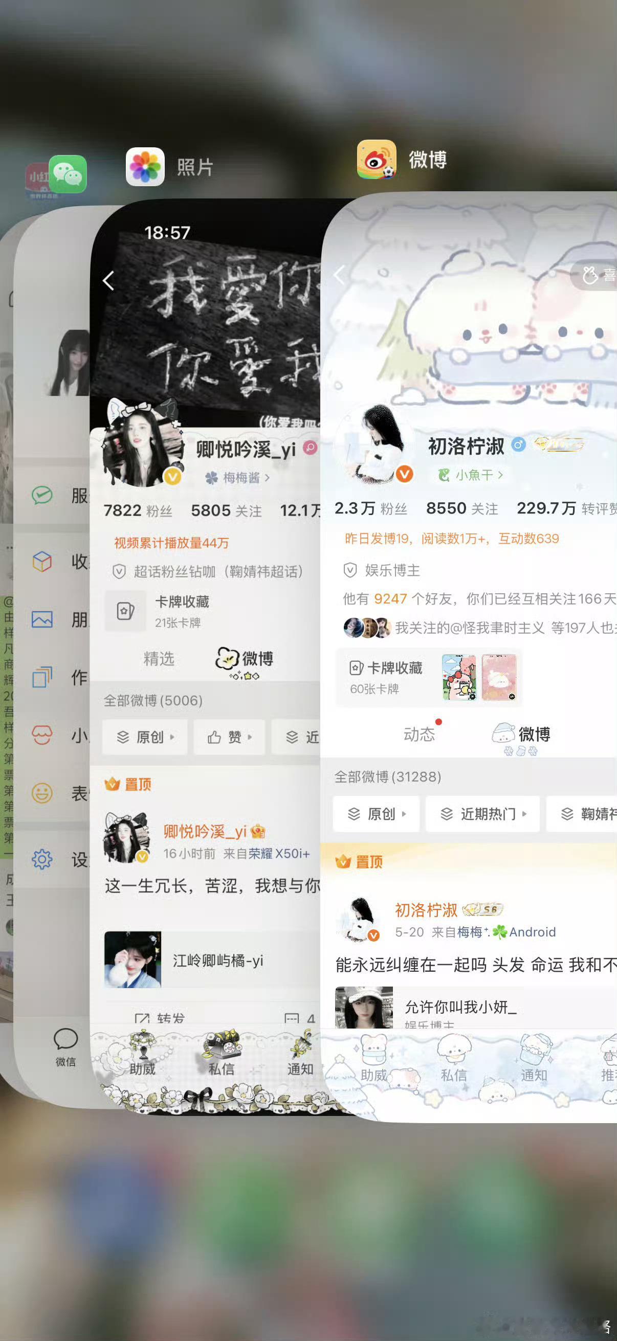 我决定我要双掉我从来没有见过的人 