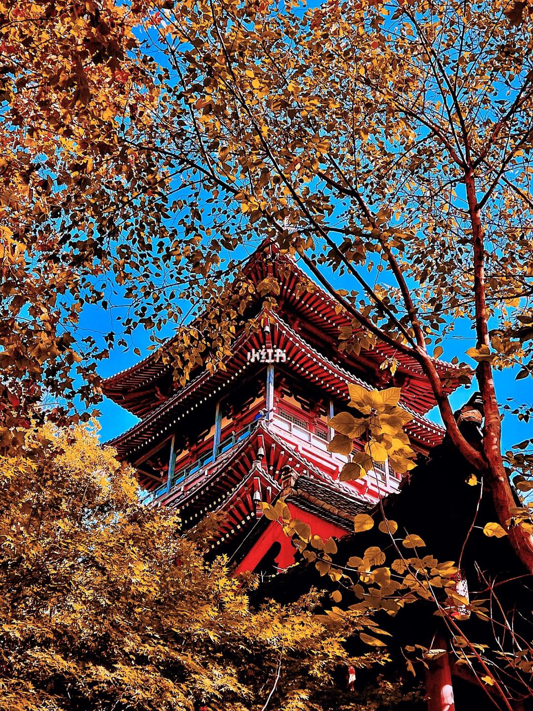 上城漫步，Citywalk打开地名里的千年宋韵