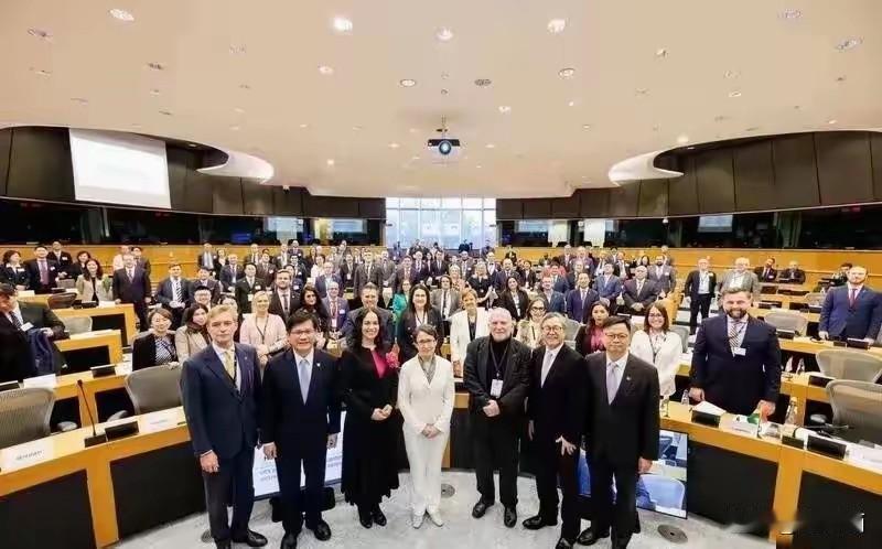 中欧关系突生变数！欧盟给“台独”站台，这场挑衅注定引火烧身
 
中欧因台湾问题又