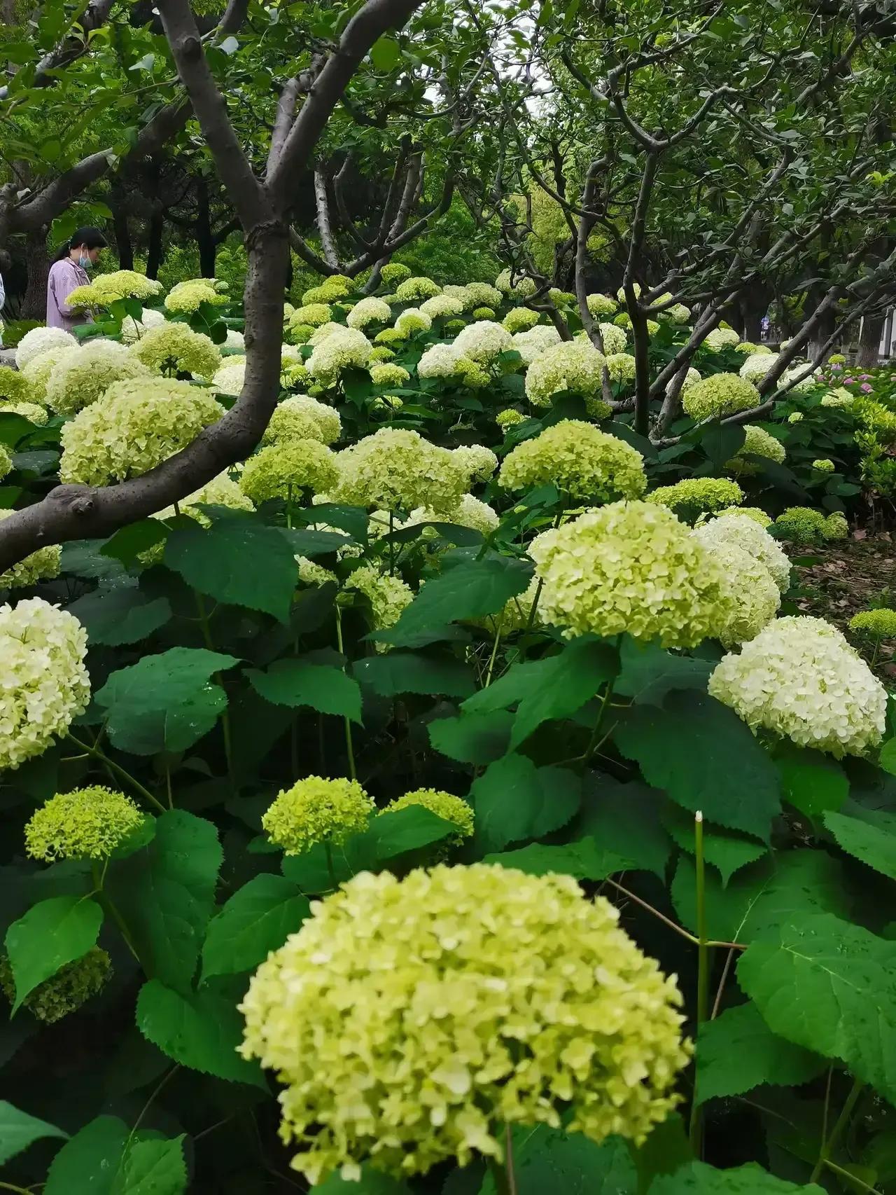 摔一跤后，
别忘了坑在哪；
上一当后，
别忘了笨在哪；
吃一亏后，
别忘了傻在哪