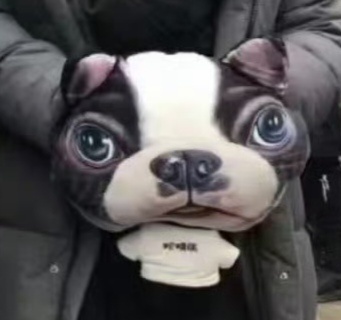 想把头像换成这个 而且你们仔细看 这雷霆丑狗抱枕还紧挨在我妈妈彼的位置 