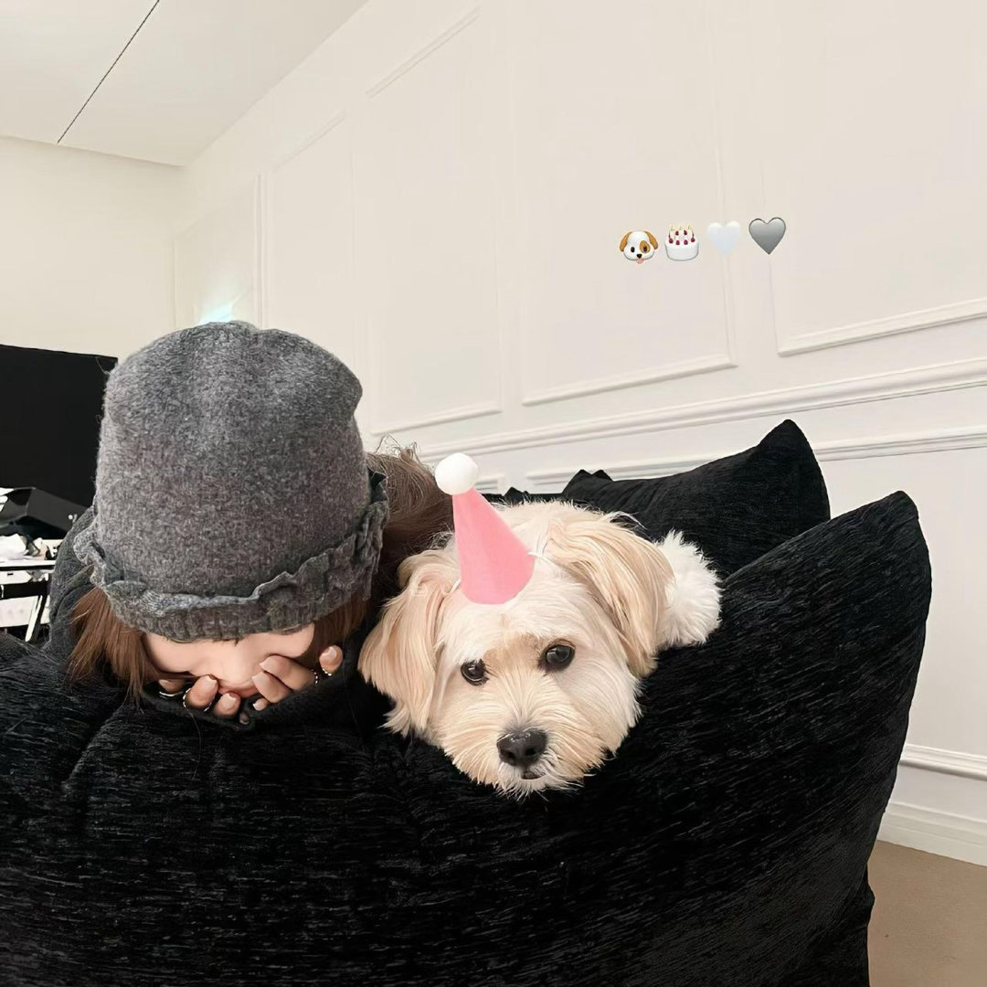 大师 我这种NPC路人甲 也要被安排这么多苦情戏吗 