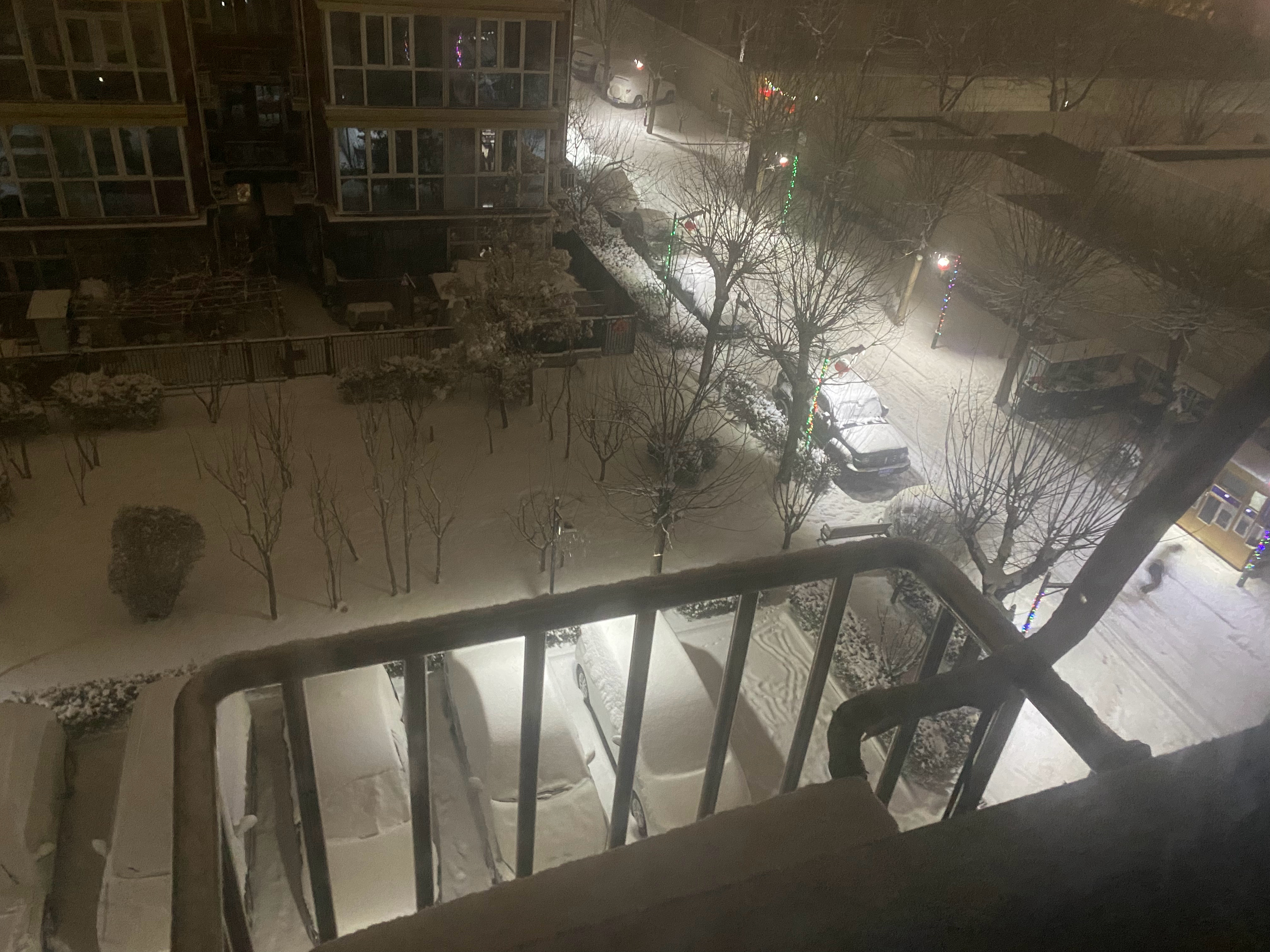 从头皮屑到鹅毛大雪就一会会儿的时间 ​​​