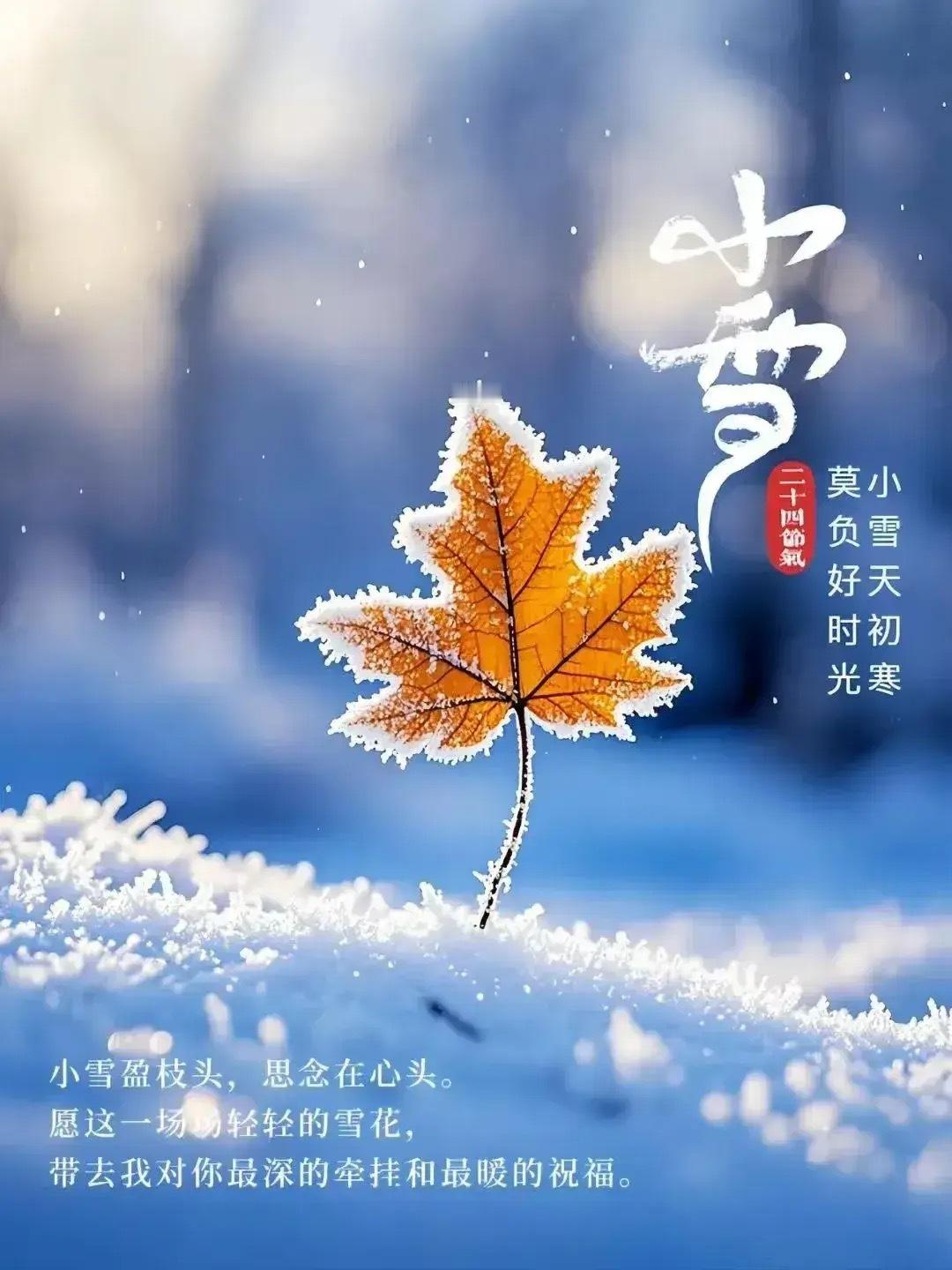 是冬季第二个节气（2025年11月22日），此时天气进一步转寒，降水渐由雨转雪但