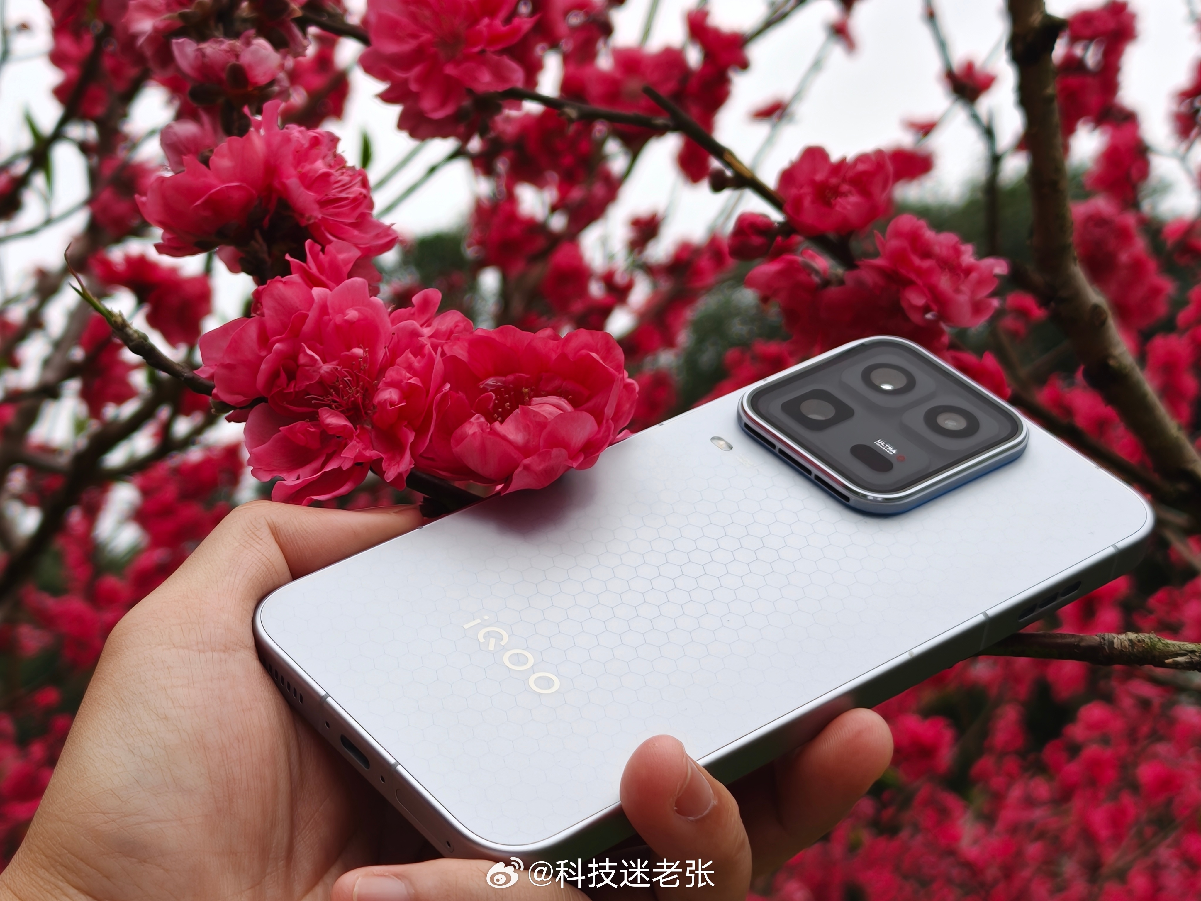 听说下一代性能Ultra取消了？主要原因还是涨价问题，标准版这次处理器芯片更贵，