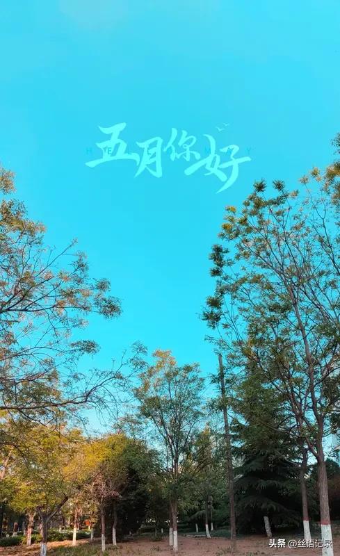 早晨起来
发现昨天刷的白色运动鞋
没有完全干透
但是又想穿
只好用吹风机
吹了一