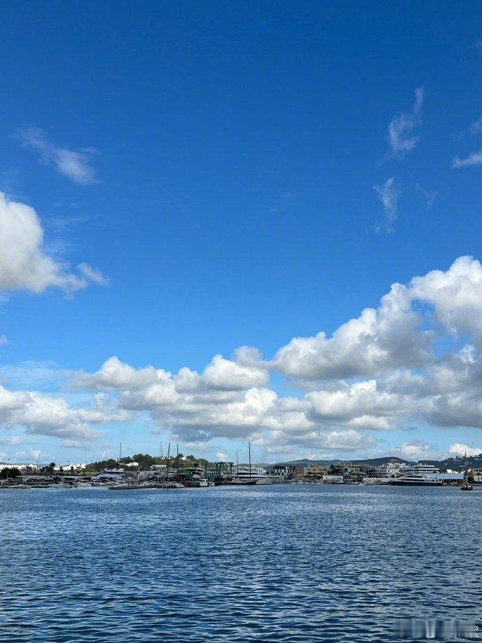 #杨紫分享相册plog#杨紫大方共享相册，风景照似窗，引粉丝入其美好世界，宁静温