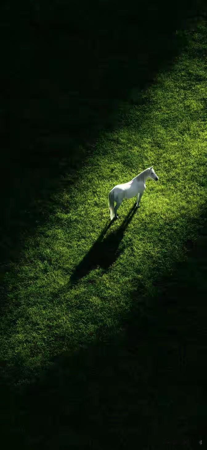 并且 心理预期的正向行动