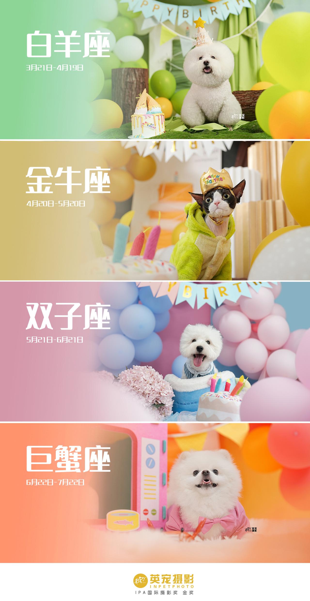 挑战12星座不同布景！
每月换新，已经完成四个啦
孩子们都来过生日了么？
