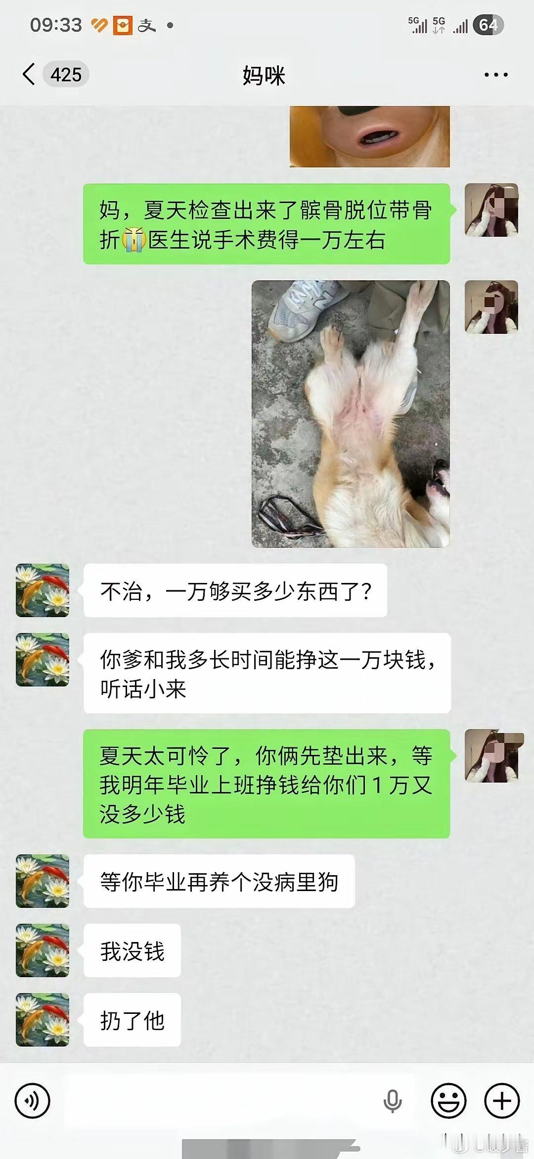 一个女大学生在路边看到一只流浪狗受伤了，跟她妈妈要一万块钱给这个流浪狗治病，她妈