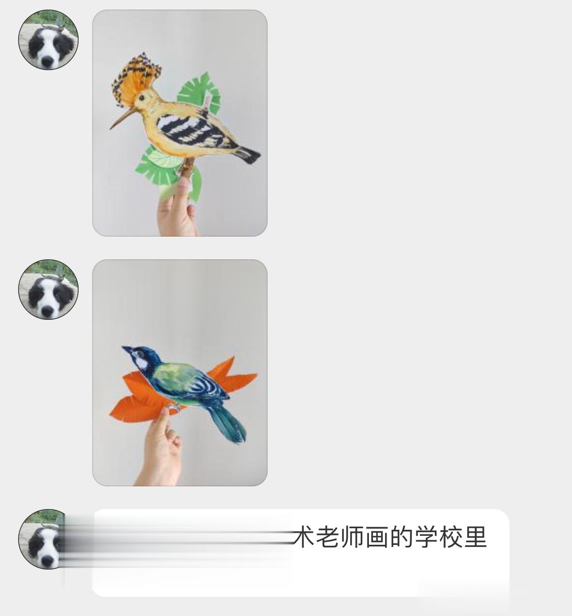 #小天才的鸟类绘画# 大山雀、戴胜、白头鹎bēi、白鹡jí鸰líng、北红尾鸲q