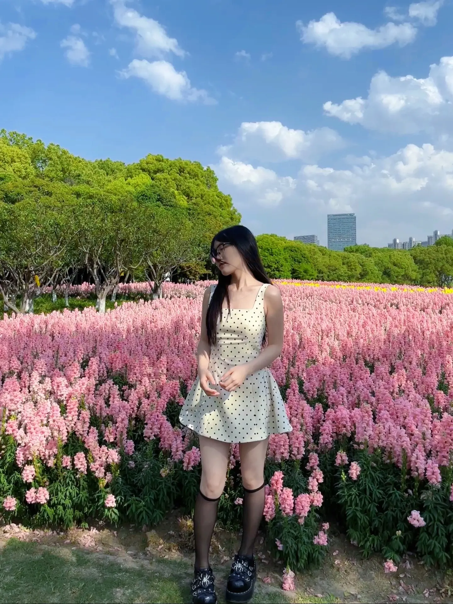 悄悄发下 老爷论文写好了 恭候回归