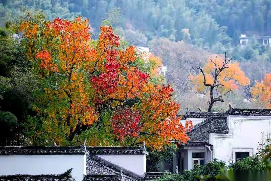 昨天，主力从农行跑了1个多亿。
今天早上，你才慢悠悠地看到那份“稳健增长”的三季