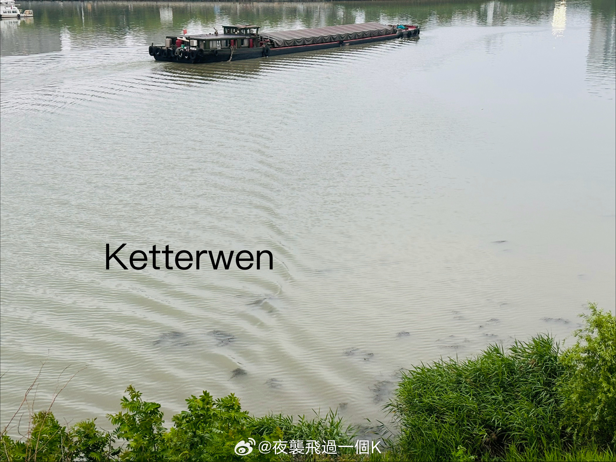 云树绕堤沙  专栏 · 柳七— 千里烟波，暮霭沉沉楚天阔