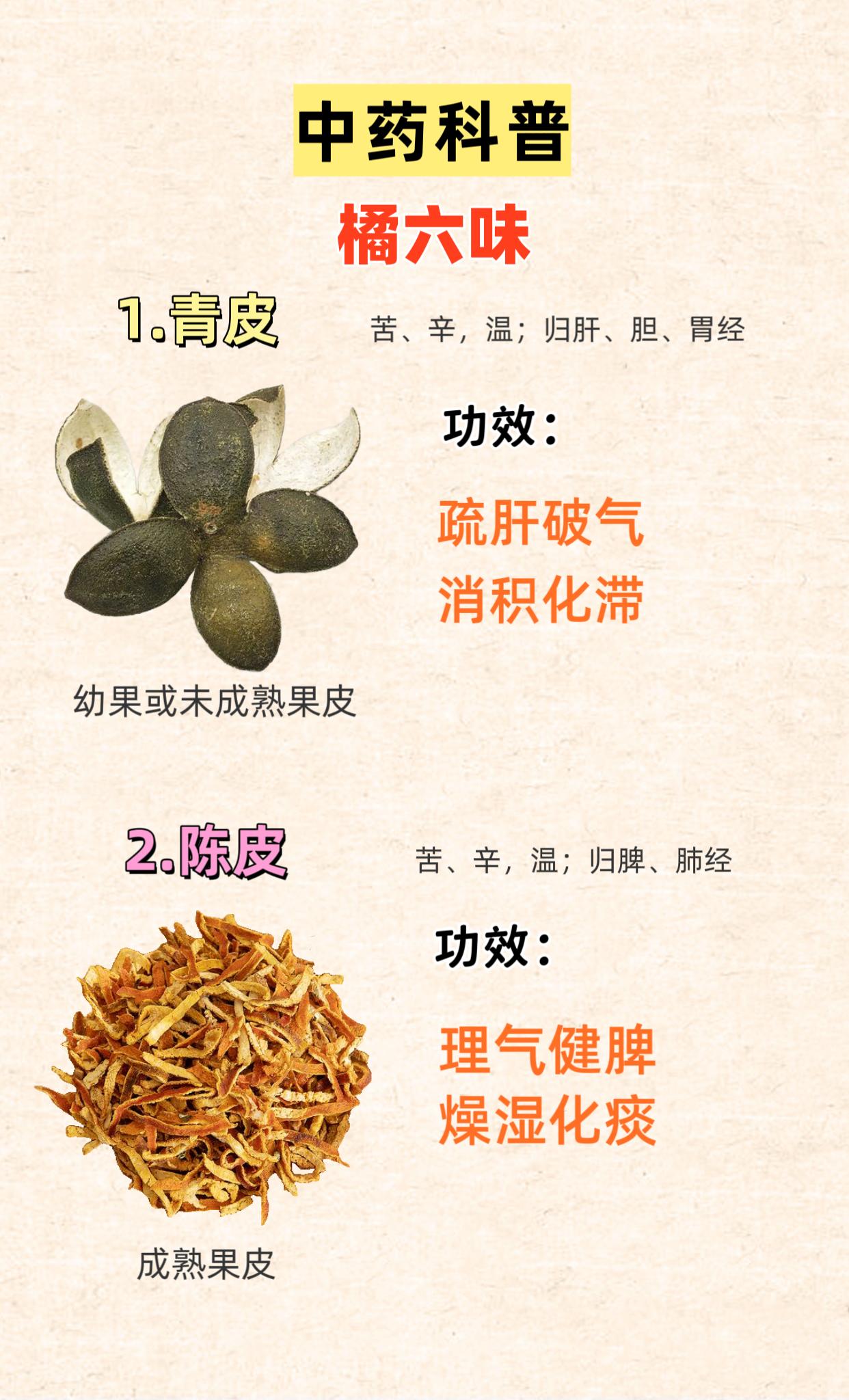 中药科普：橘六味。一个橘子六味药：青皮 陈皮 橘络 橘红 橘核 橘叶