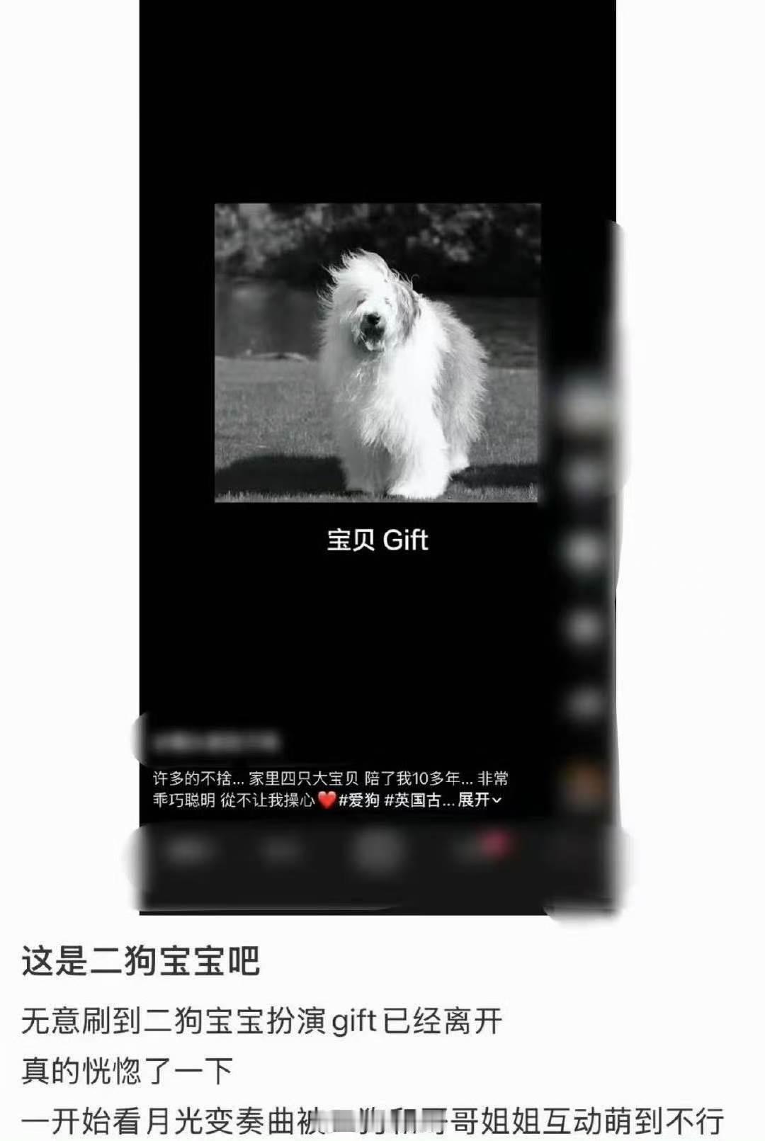 月光变奏曲二狗去世了二狗去世了 丁禹兮 虞书欣 月光变奏曲里的二狗去世了 啊、、