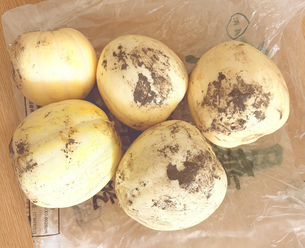 在网上买了几个东北白糖罐香瓜🍈今日收到货，迫不及待打开，开箱后咋看吓了我一跳，