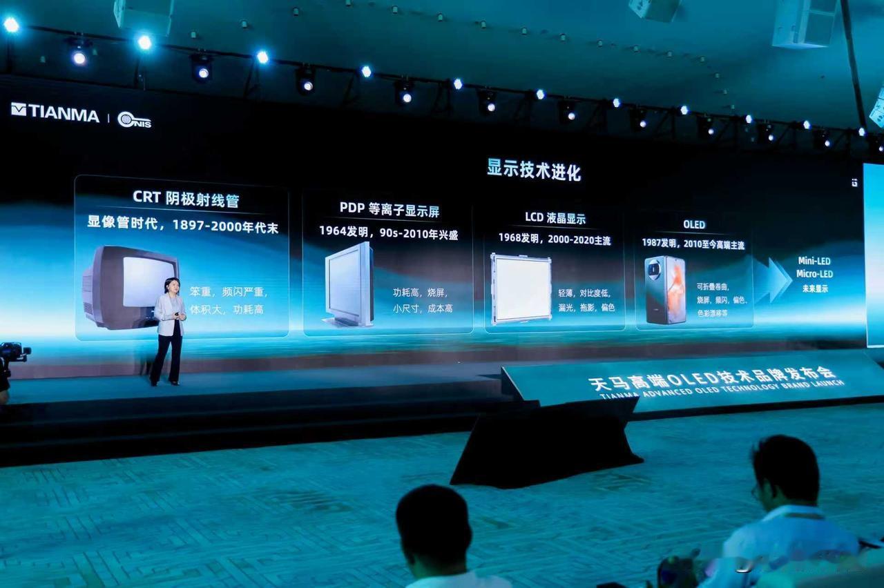 天工2.0发布会上，中国标准化研究院张运红主任分享十余年显示视觉健康研究，收尾那