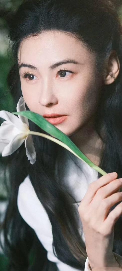 张柏芝宣布以歌手身份回归乐坛 5月26日张柏芝正式官宣加盟华纳，以歌手身份回归！