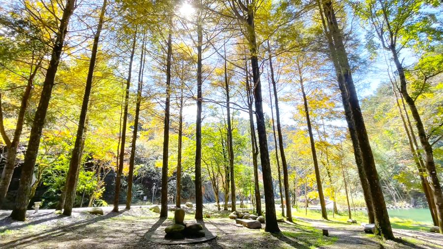 读《近思录》2.70　

知性善，以忠信为本，此先立其大者。

解读

明道先生