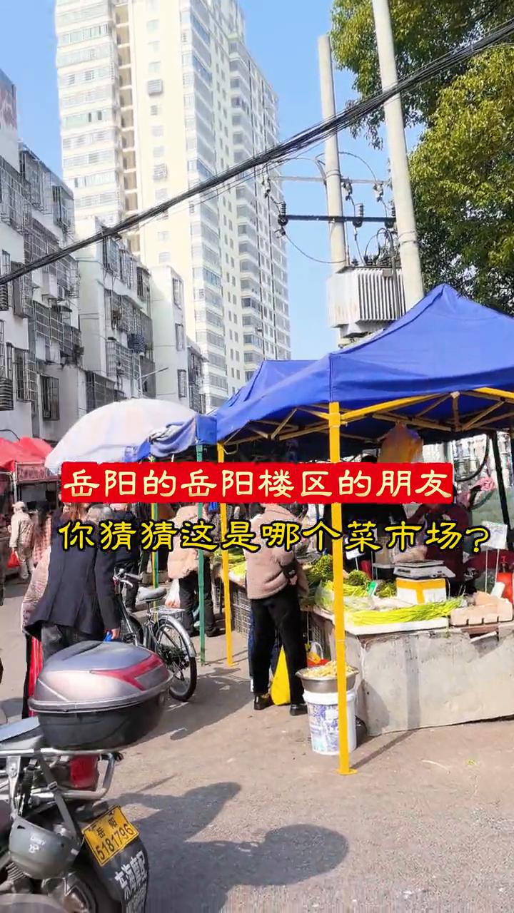 岳阳的岳阳楼区的朋友，你猜猜这是哪个菜市场？